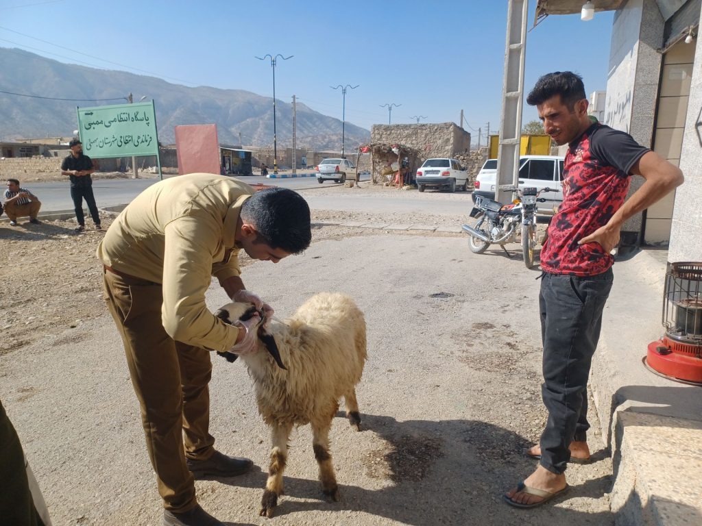 چکاوک زاگرس